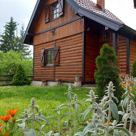 Brvnare Na Brdu Villa Sljivovica  Екстериор снимка