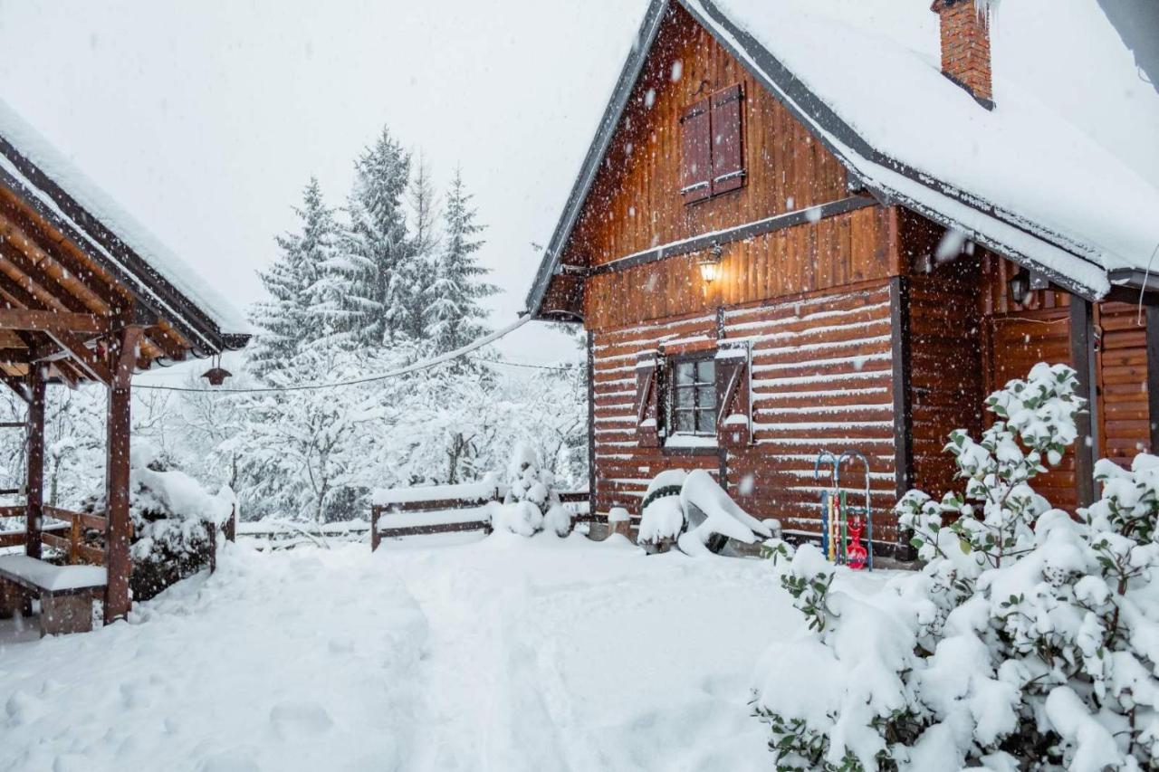 Brvnare Na Brdu Villa Sljivovica  Екстериор снимка