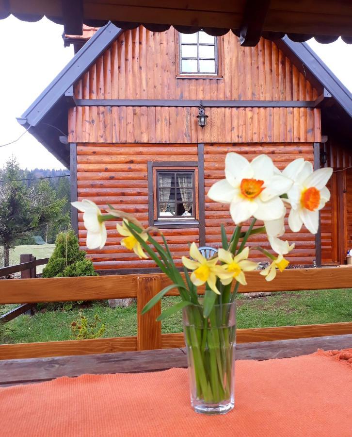 Brvnare Na Brdu Villa Sljivovica  Екстериор снимка