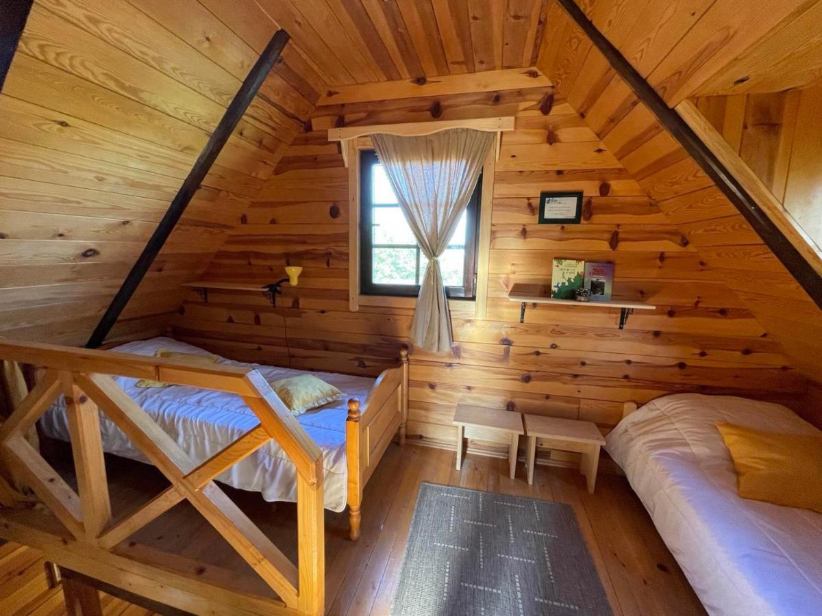 Brvnare Na Brdu Villa Sljivovica  Екстериор снимка