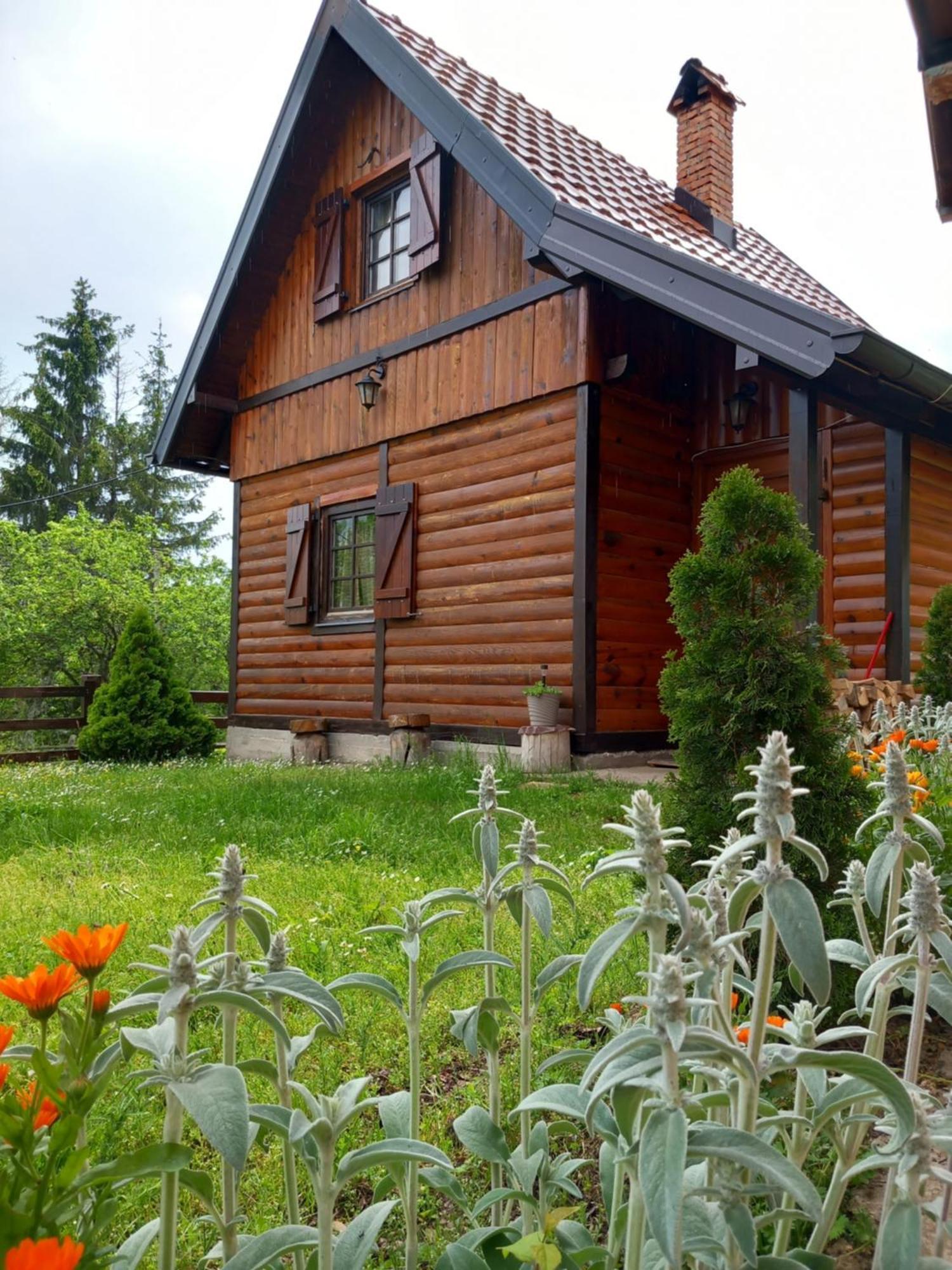 Brvnare Na Brdu Villa Sljivovica  Екстериор снимка