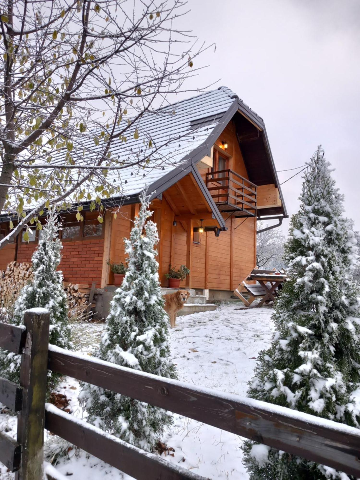Brvnare Na Brdu Villa Sljivovica  Екстериор снимка