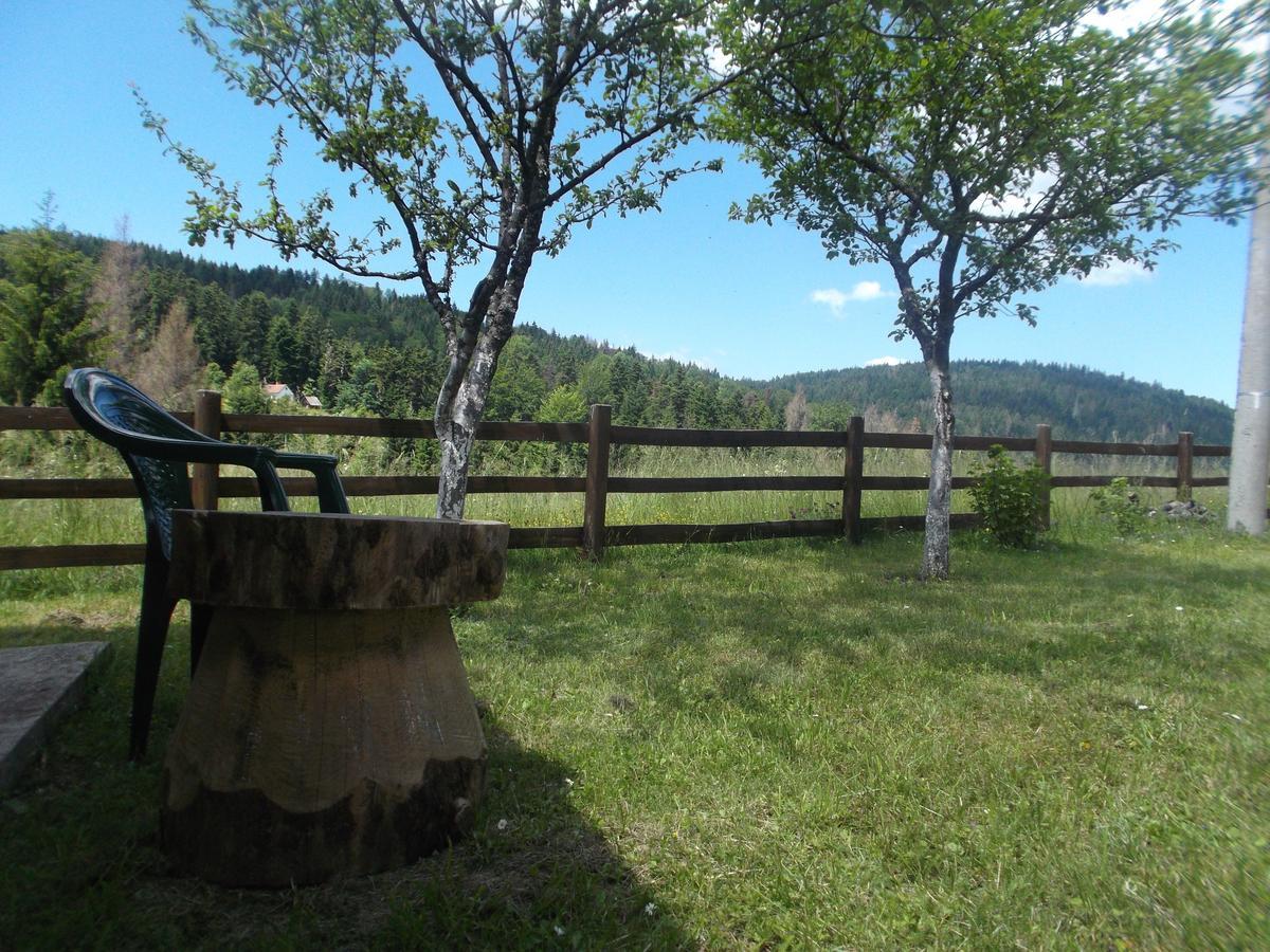 Brvnare Na Brdu Villa Sljivovica  Екстериор снимка